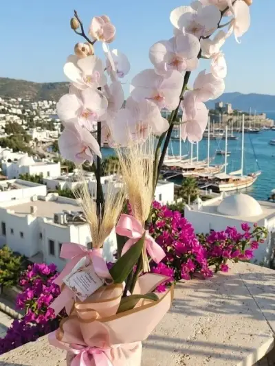 Kale Manzaralı Pudra Pembe Orkide Buketi