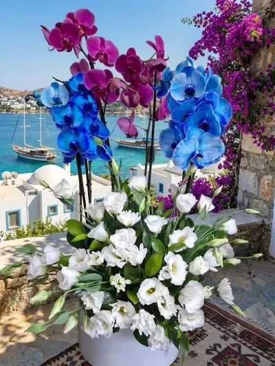 Mavi ve Fuşya Orkide Lisianthus Aranjmanı
